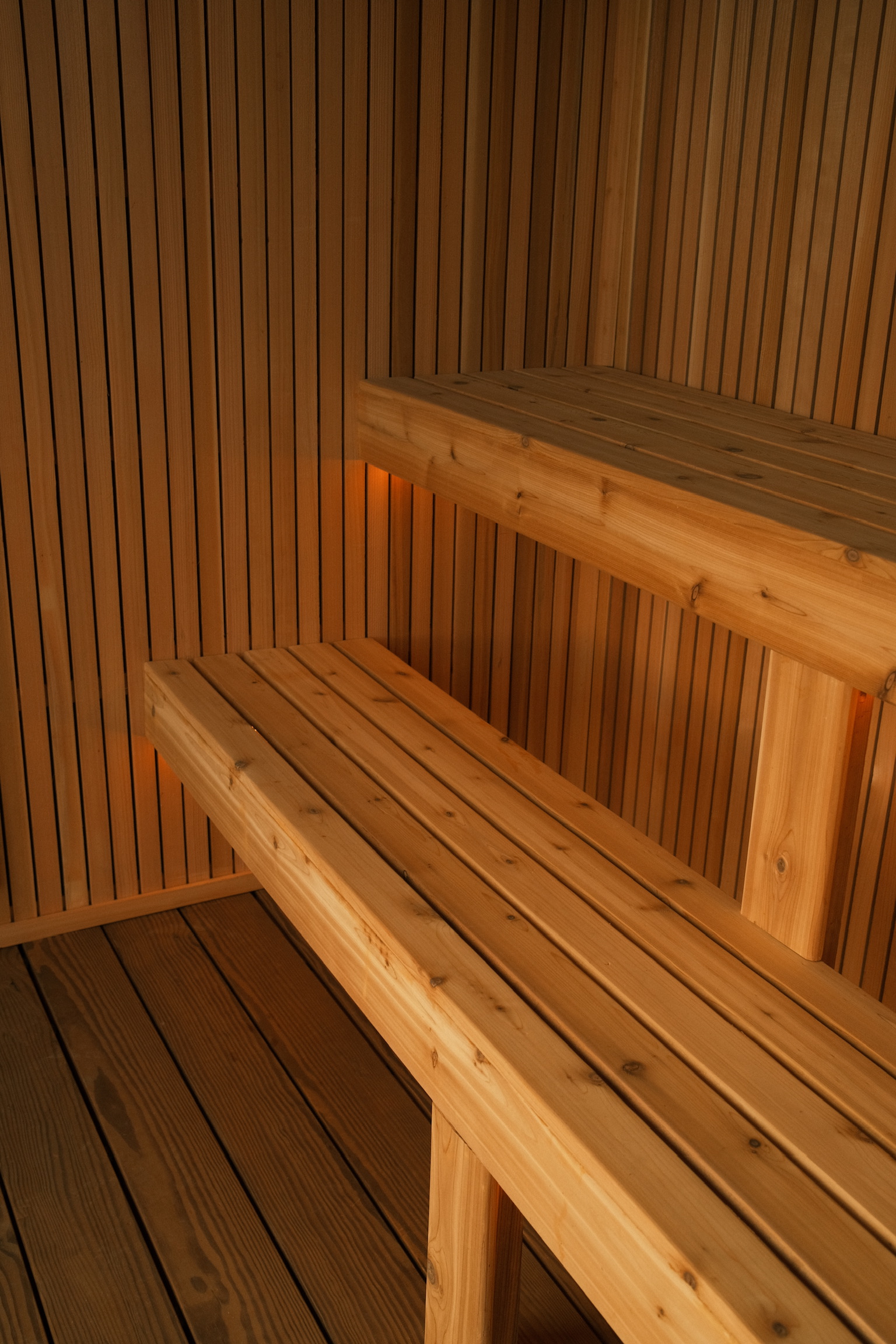 Top-down plan: sauna · shower · porch plunge